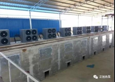 海南烘干檳榔項目 海南烘干檳榔項目