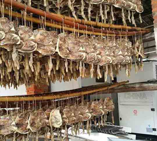 如何建造空氣能烘干房？烘干房價格高嗎？