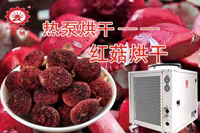 正旭紅菇熱泵烘干圖組 正旭紅菇熱泵烘干圖組