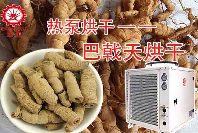 正旭空氣能巴戟天烘干機 正旭空氣能巴戟天烘干機