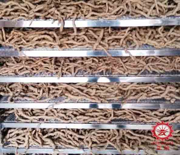 巴戟天熱泵烘干工藝(烘干時間和烘干溫度) 巴戟天熱泵烘干工藝(烘干時間和烘干溫度)