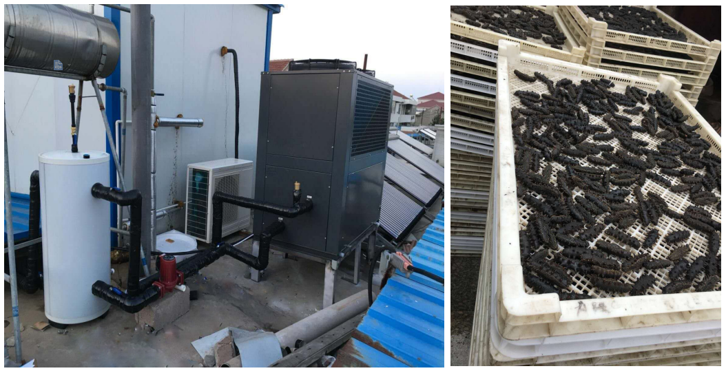 2019年適合投資的實體項目有哪些？空氣能烘干機「舍我其誰」