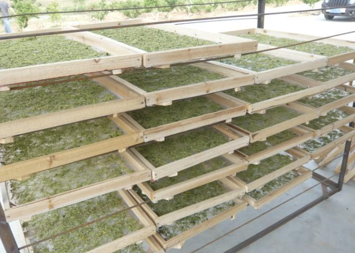 小型金銀花烘干機(jī)多少錢一臺(tái)？小型號(hào)「價(jià)錢低」烘干更靈活