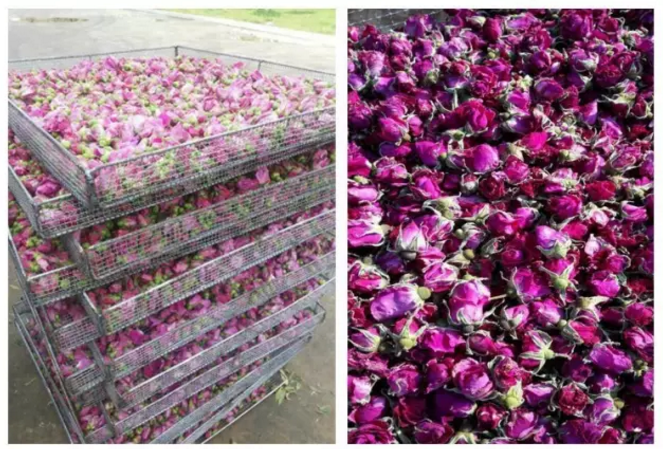  自制太陽(yáng)能烘干房成本低，但烘干效果不如空氣能