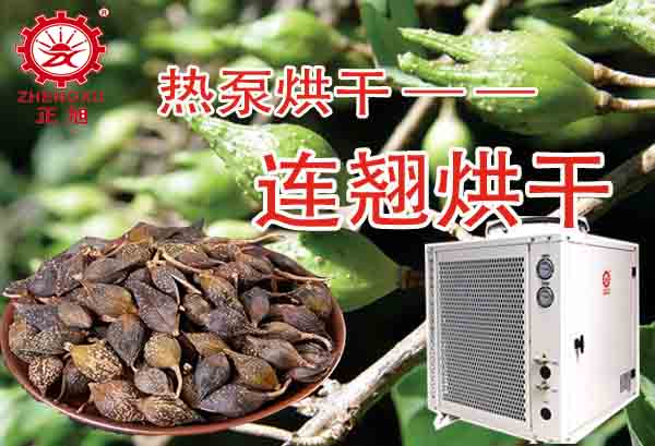 一噸連翹熱泵烘干需要多少錢？「熱泵烘干廠家」為你解答
