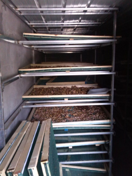 江蘇泗洪無花果烘干項(xiàng)目