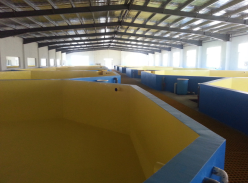 福建霞浦縣欽龍水產養(yǎng)殖有限公司恒溫養(yǎng)殖項目